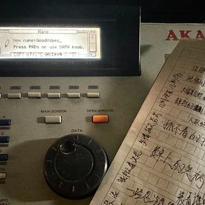 董卿被黑人玩到高潮
