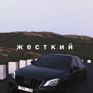 董卿被黑人玩到高潮
