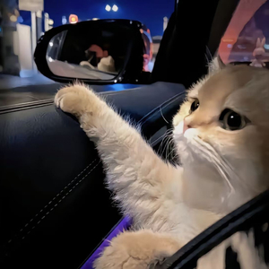 亚洲白嫩小受gv男同在线观看
