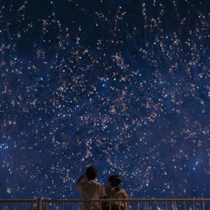 黄视频在线观看免费视频
