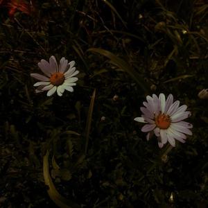 亚洲白嫩小受gv男同在线观看
